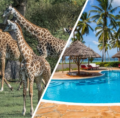 Hôtel Antonio Beach Tree House & Spa 4* + Safari 1 nuit, Séjour Tanzanie, Zanzibar par Ôvoyages Hôtel Antonio Beach Tree House & Spa 4* + Safari 1 nuit, Séjour Tanzanie, Zanzibar par Ôvoyages