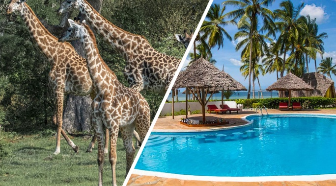 Hôtel Antonio Beach Tree House & Spa 4* + Safari 1 nuit, Séjour Tanzanie, Zanzibar par Ôvoyages Hôtel Antonio Beach Tree House & Spa 4* + Safari 1 nuit, Séjour Tanzanie, Zanzibar par Ôvoyages