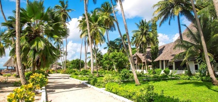 Hôtel Antonio Beach Tree House & Spa 4* + Safari 1 nuit, Séjour Tanzanie, Zanzibar par Ôvoyages Hôtel Antonio Beach Tree House & Spa 4* + Safari 1 nuit, Séjour Tanzanie, Zanzibar par Ôvoyages