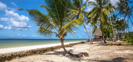 Hôtel Antonio Beach Tree House & Spa 4* + Safari 1 nuit, Séjour Tanzanie, Zanzibar par Ôvoyages Hôtel Antonio Beach Tree House & Spa 4* + Safari 1 nuit, Séjour Tanzanie, Zanzibar par Ôvoyages