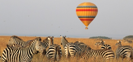 Ôcombiné - Diani Reef Beach 4* & Safari 2 nuits dans le parc de Tsavo, Séjour Kenya par Ôvoyages Ôcombiné - Diani Reef Beach 4* & Safari 2 nuits dans le parc de Tsavo, Séjour Kenya par Ôvoyages
