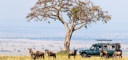 Ôcombiné - Diani Reef Beach 4* & Safari 3 nuits dans le parc de Tsavo, Séjour Kenya par Ôvoyages Ôcombiné - Diani Reef Beach 4* & Safari 3 nuits dans le parc de Tsavo, Séjour Kenya par Ôvoyages